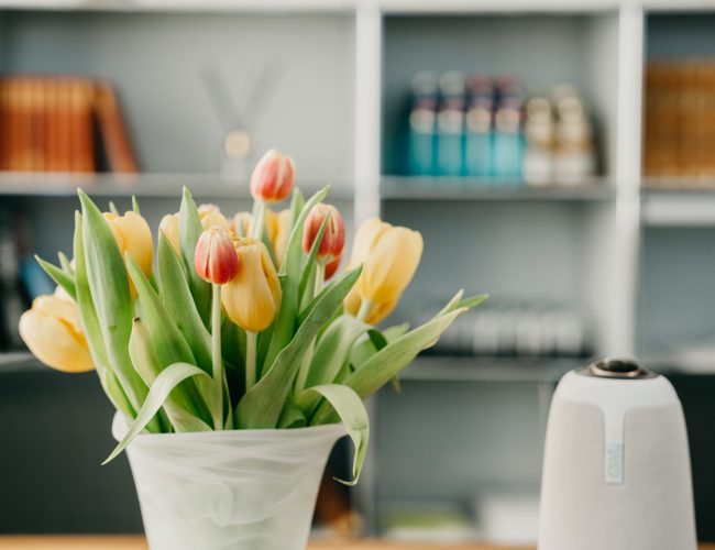 Blumen in einer Vase